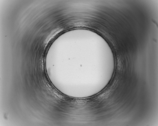 X0000103480782200810100958