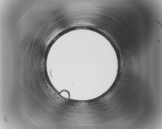 X0000103480783200810100958