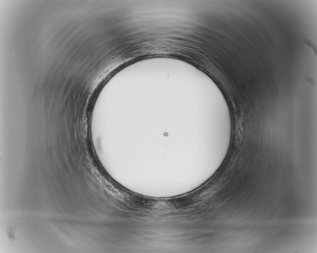 X0000103480787200810100958