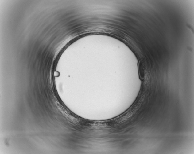 X0000103480788200810100958
