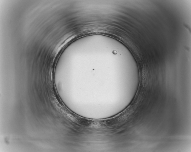 X0000103480790200810100958