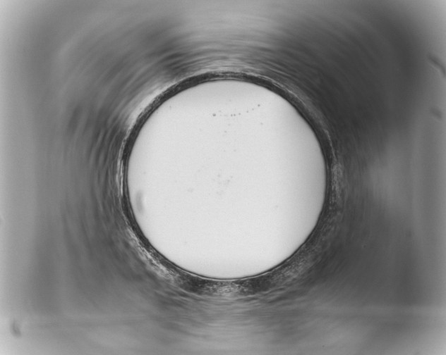 X0000103480791200810100958