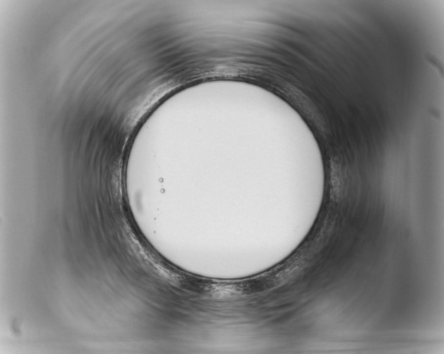 X0000103480794200810100958