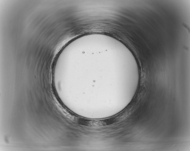 X0000103480795200810100958