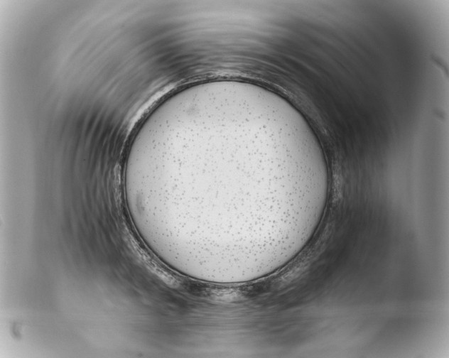 X0000103480798200810100958