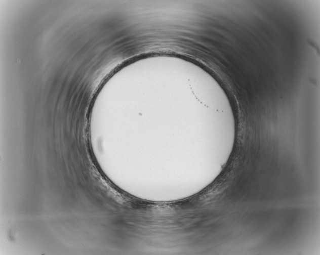 X0000103480799200810100958