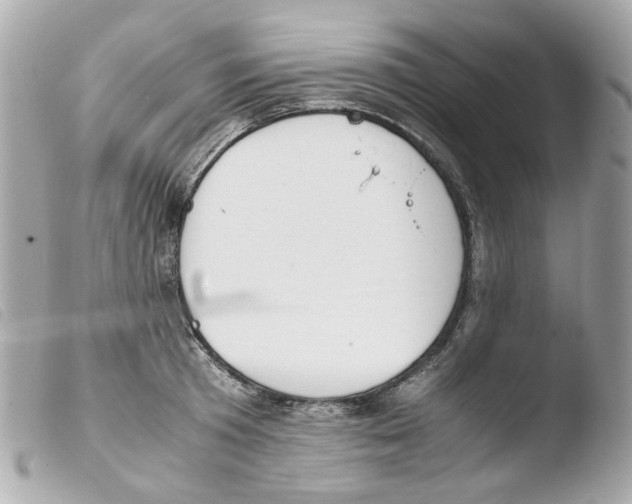 X0000103480801200810100958