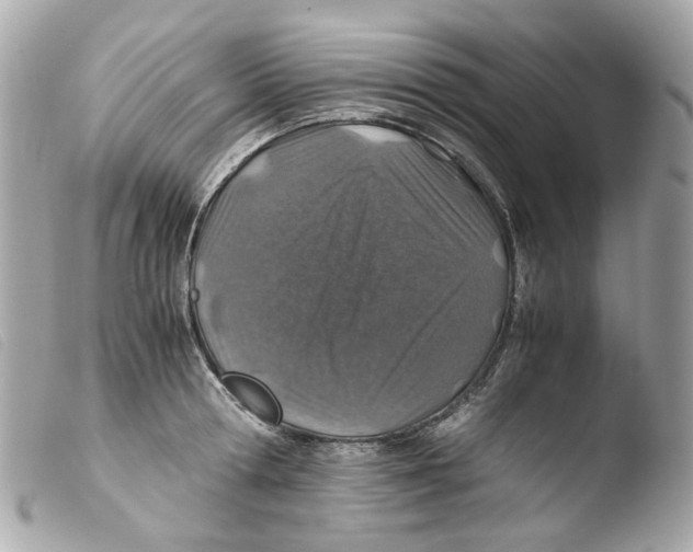 X0000103480802200810100958