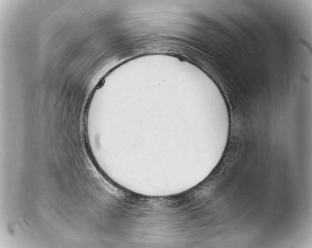 X0000103480803200810100958