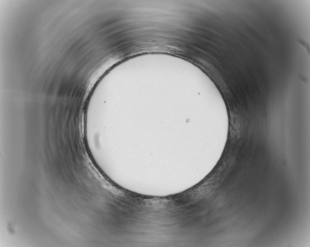 X0000103480804200810100958