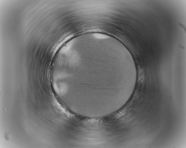 X0000103480806200810100958