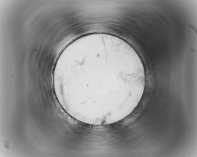 X0000103480807200810100958