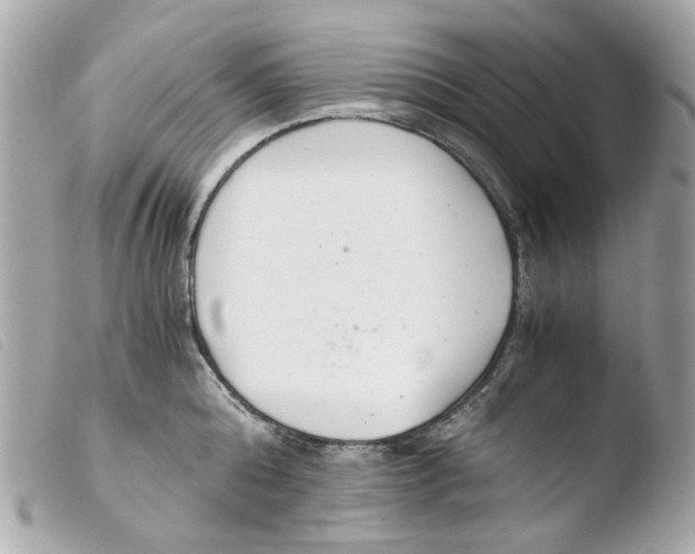 X0000103480808200810100958