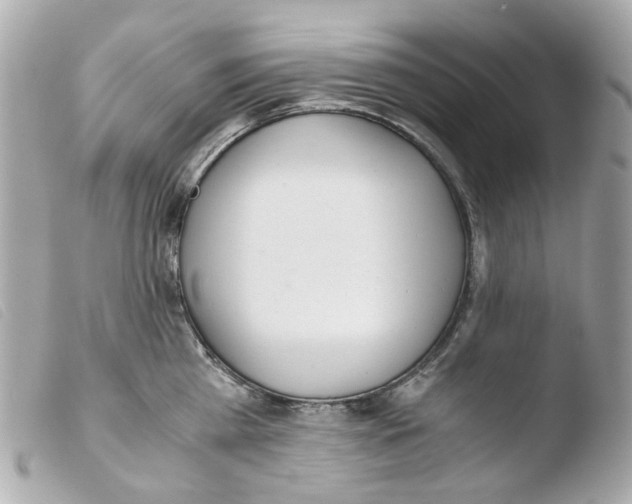 X0000103480809200810100958