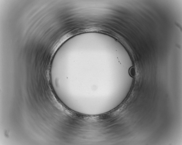 X0000103480810200810100958