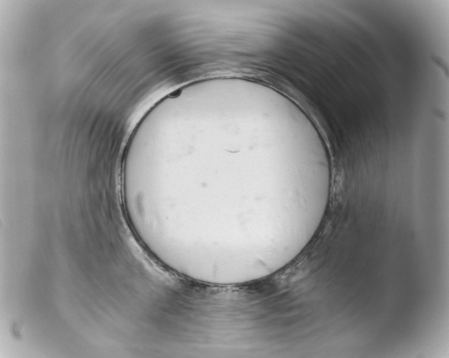 X0000103480811200810100958