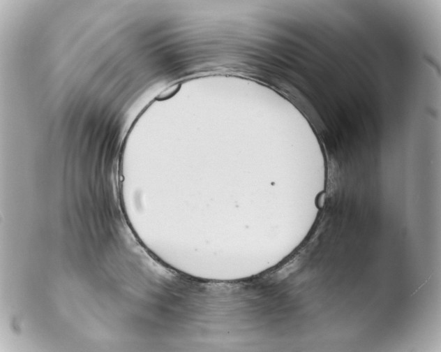 X0000103480812200810100958