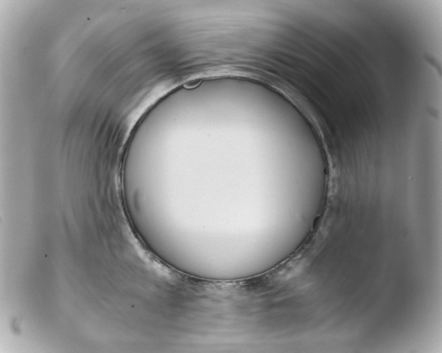 X0000103480813200810100958