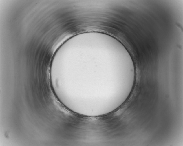X0000103480814200810100958