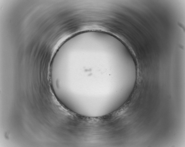 X0000103480815200810100958