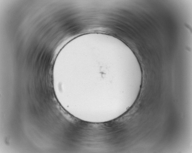 X0000103480816200810100958