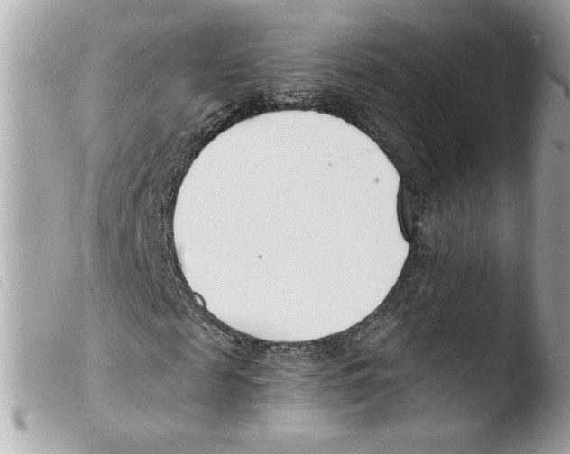 X0000103480817200810100957