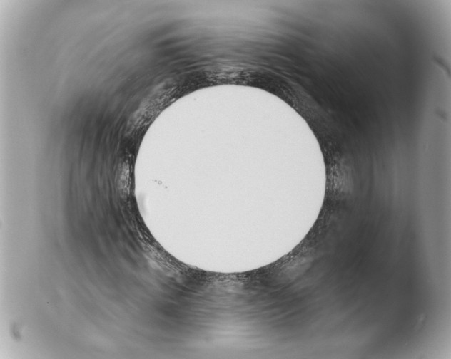 X0000103480820200810100957