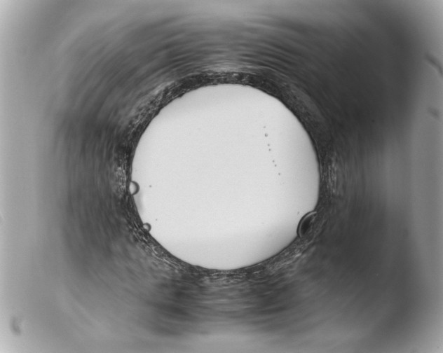 X0000103480821200810100957