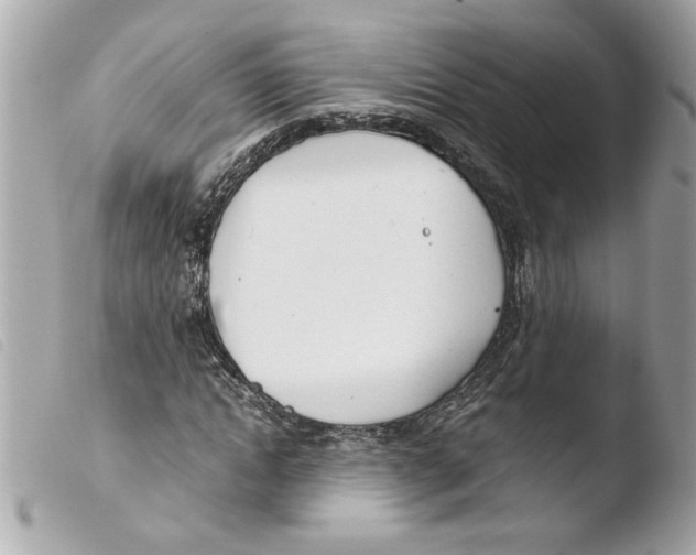 X0000103480822200810100957