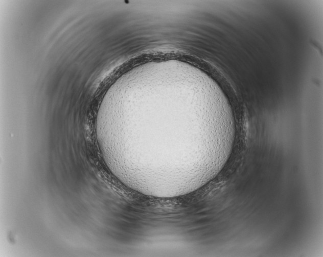 X0000103480823200810100957