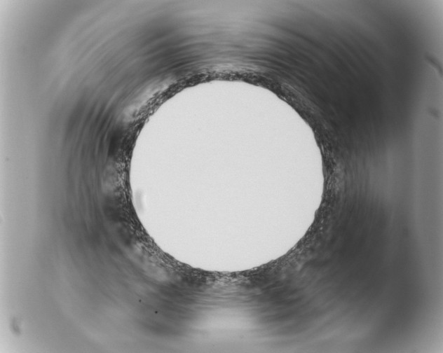 X0000103480824200810100957