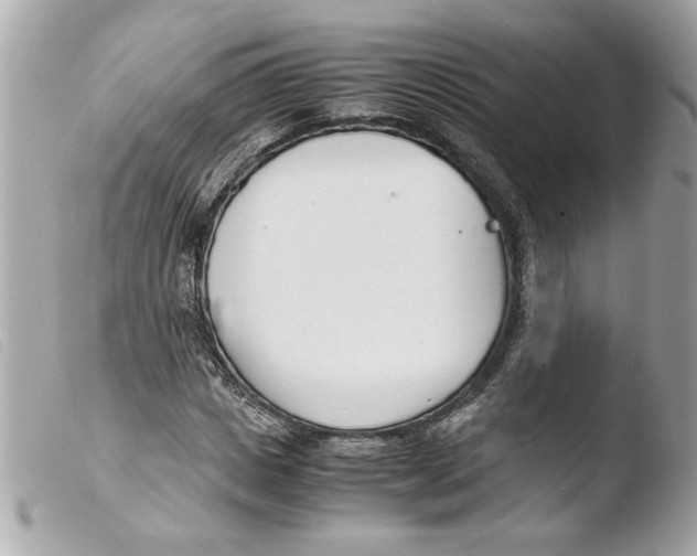 X0000103480825200810100957