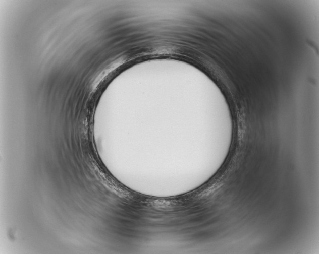 X0000103480827200810100957