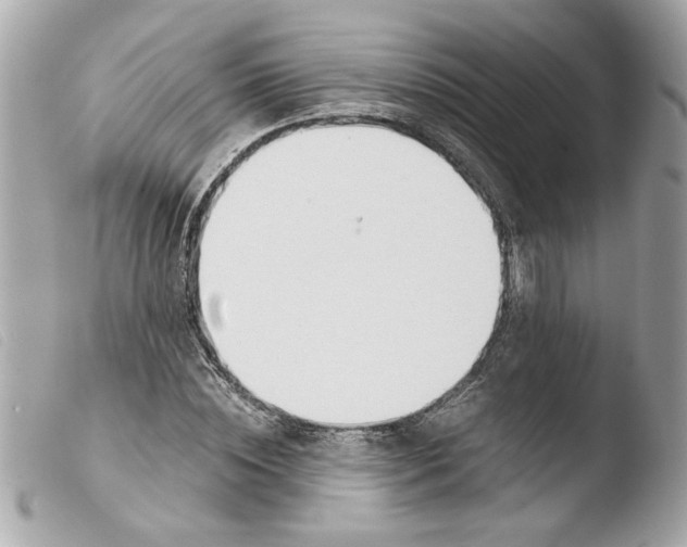 X0000103480828200810100957