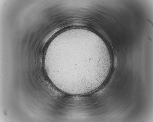 X0000103480829200810100957