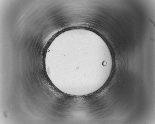 X0000103480830200810100957