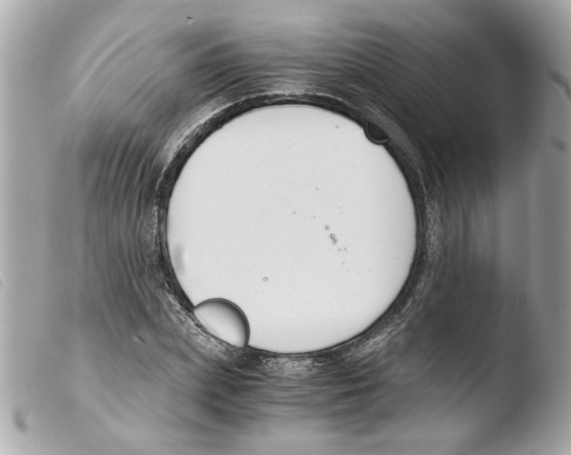X0000103480831200810100957