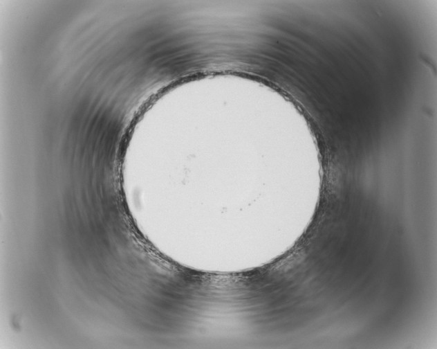 X0000103480832200810100957