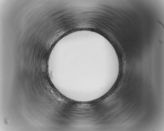X0000103480833200810100957