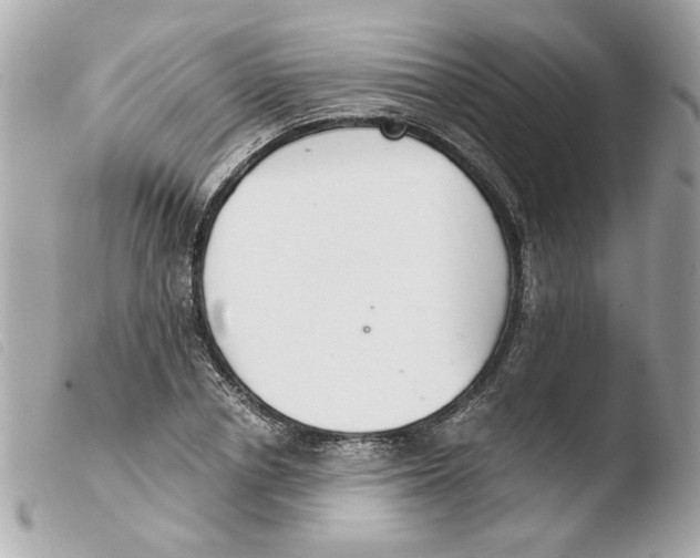X0000103480834200810100957