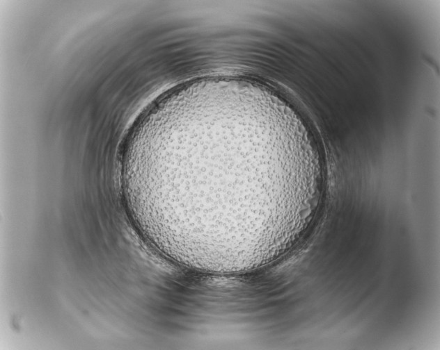 X0000103480835200810100957