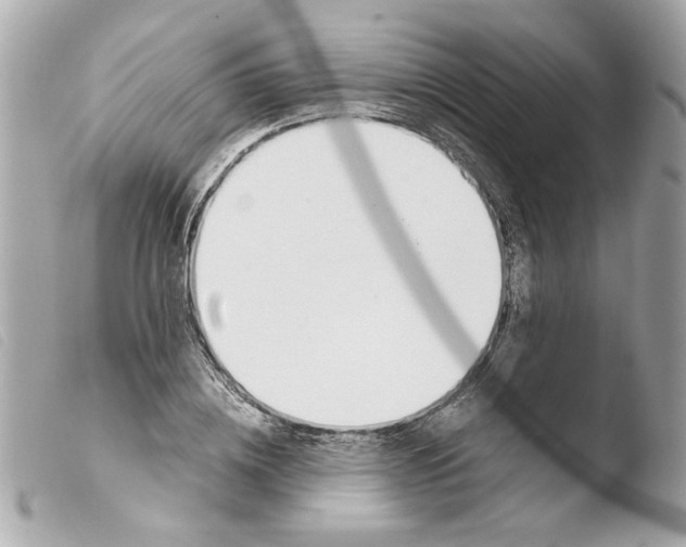X0000103480836200810100957
