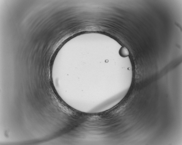 X0000103480837200810100957