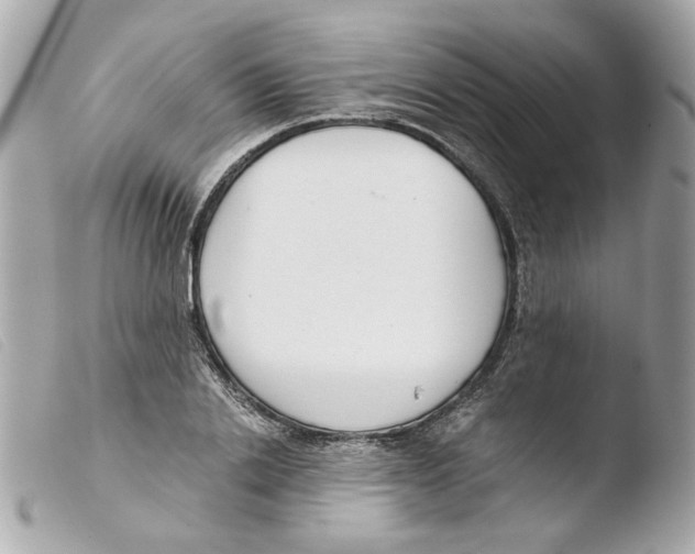 X0000103480838200810100957