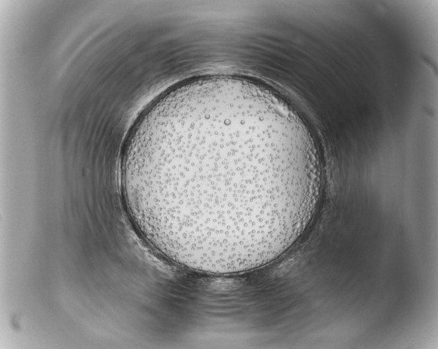 X0000103480839200810100957