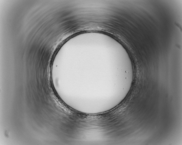 X0000103480840200810100957