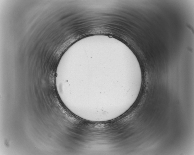 X0000103480841200810100957