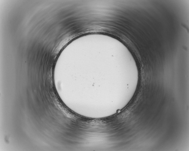 X0000103480842200810100957