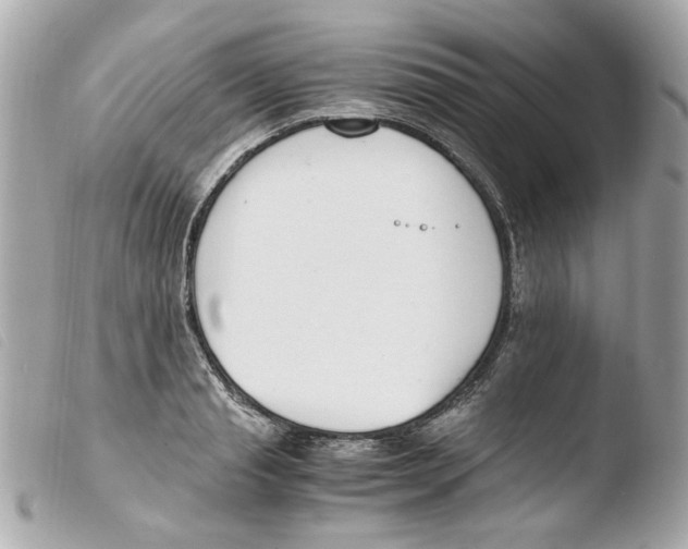 X0000103480845200810100957
