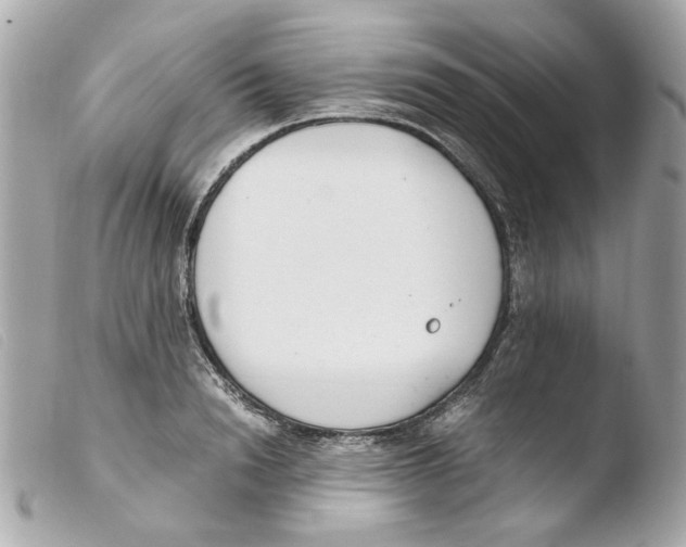 X0000103480846200810100957